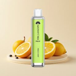 Hayati Pro Max 4000 Вдишвания Диспозейбъл Вейп Свежа Мента 2% Никотин